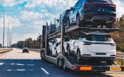 Consultancy voor auto importeurs